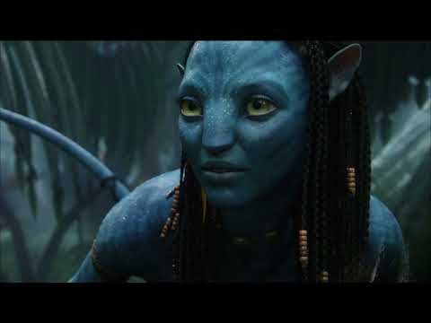 Куда пропал ХВОСТ. Эзотерическое исследование