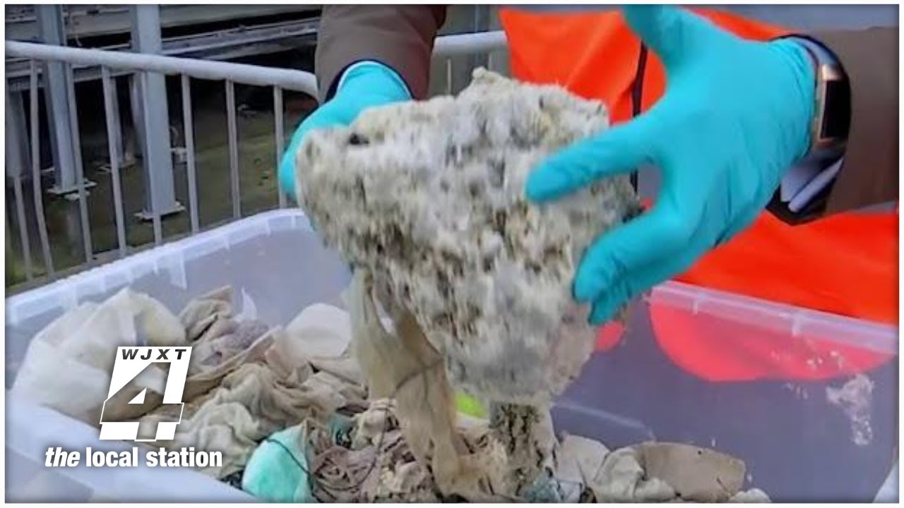 Why you actually shouldn’t flush ‘flushable’ wipes