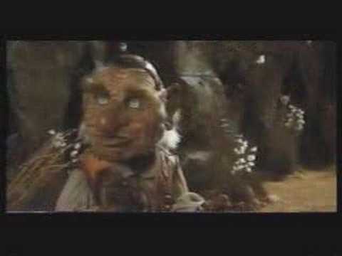 Nido del Cuculo - Zanzare Tigri