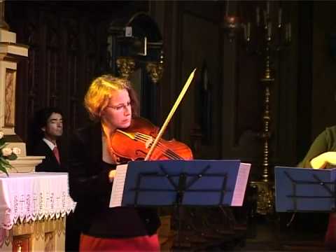 PANDOLFIS CONSORT- Telemann-Concerto G-Dur