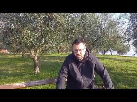 Izjava pred 2. delom lige Nova KBM (2021/22) - Konstantin Subotič / GGD Šenčur