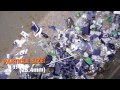 NGANCURIN NOKIA 3310 AWAS MELEDAK