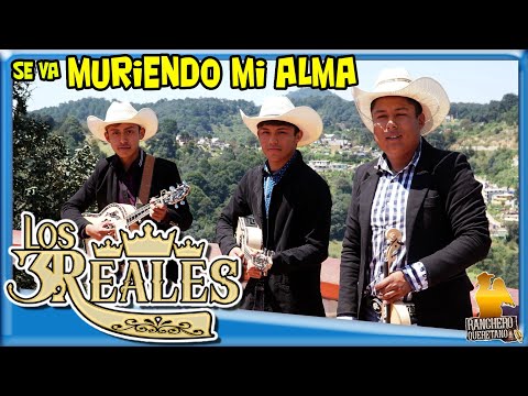 Trio Los 3 Reales - se va muriendo mi alma