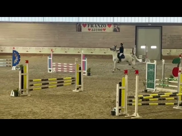 Vendita cavalla per salto ostacoli