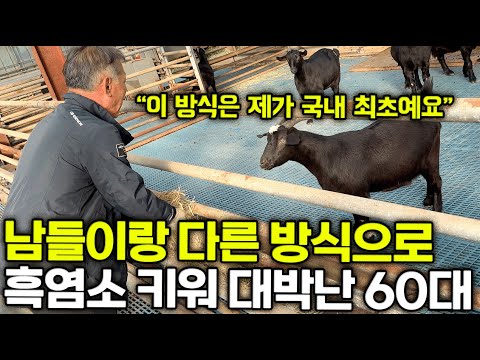 "이렇게 키운 흑염소는 차원이 달라요" / 남들이랑 다른 방식으로 흑염소 키워 대박난 60대 [해남 하모니농장] ㅣ귀농ㅣ유기농ㅣ농사