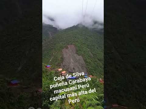 selva puñeña macusani Carabaya Puno Perú