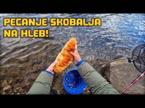 Pecanje Skobalja Na HLEB po JAKOM VETRU! - Ribolov na Plovak