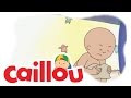 Caillou Caillou In The Bathtub S01E14 Cartoon For Kids