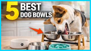 ✅ Top 5 Best Dog Bowls for Durability and Ease of Cleaning i
