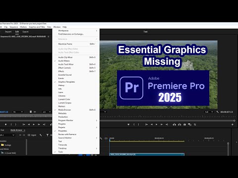 Essential graphics premiere pro not showing 2025