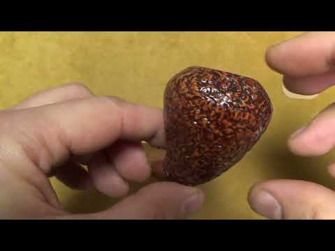 Pipa L'Anatra Rusticata - Canted Pear - AN116