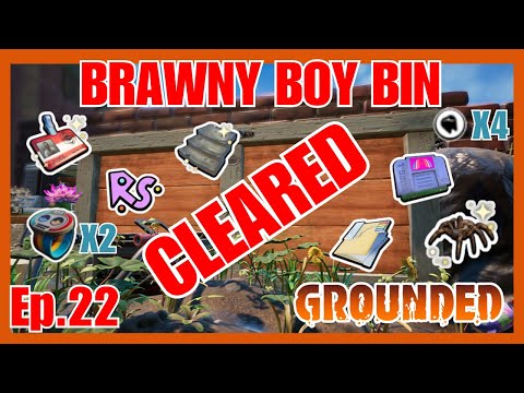 Inside The Brawny Boy Bin - Grounded