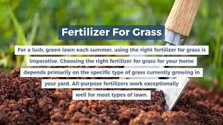 Fertilizer For Grass - Weed & Duryea