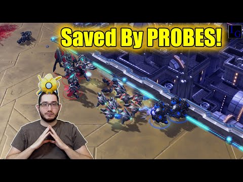 Probe voted MOST TERRIFYING Protoss unit! | StarCraft 2 SC2 vs Terran Ladder PvT TvP Highlight Match