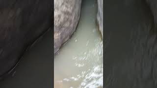 Download lagu మాత్యగుండం జలకన్యలు అల్లూరి జిల్లా లో mp3 Download lagu మాత్యగుండం జలకన్యలు అల్లూరి జిల్లా లో mp3