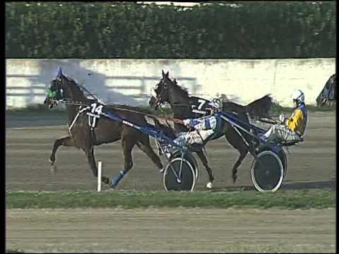 Trotto 01/11/2015 - 3° corsa