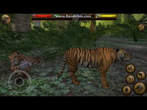 ultimate jungle simulator (TIGER) gameplay by HeroMaster2028 (1080P 60FPS) - YouTube