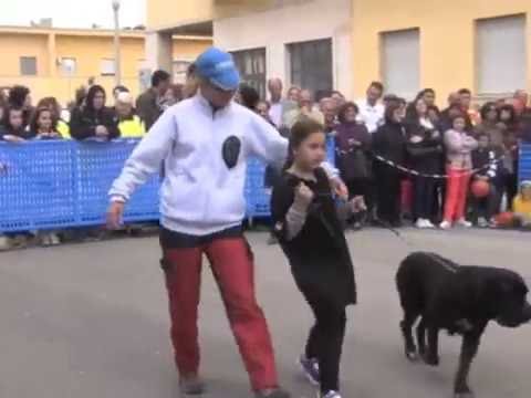 MIB Security & Service - Evento Congresso FENALC