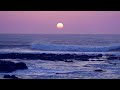 Music Monamour موسيقى مونامور