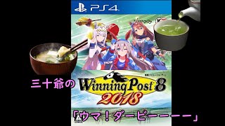 三十爺のウイニングポスト８（２０１８）「シンデレラフイット」