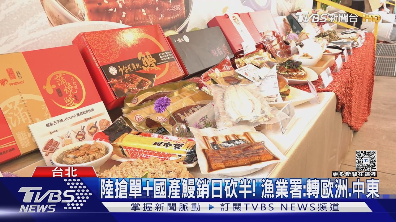 影音/千人搶吃免費鰻魚!外銷日本數量砍半 台灣鰻轉攻內銷