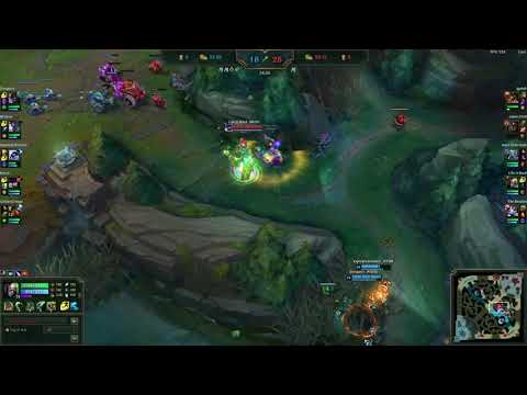 singed + yuumi bot lane = our team hates us