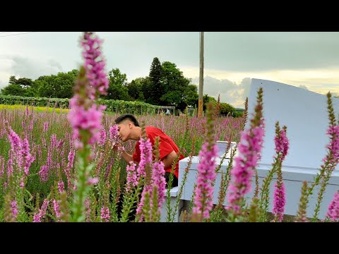 iszon - Tampo (Official Lyric Video)