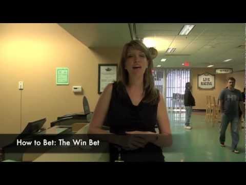 How to Bet: Betting Basics