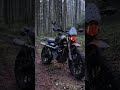 400X SCRAMBLER FOREST TRIP Triumphscrambler 400x Scrambler400x Triumphmotorcycles