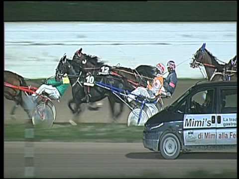 Trotto 04/03/2016 - 8° corsa