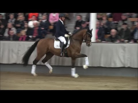 Bon Vivaldi NRW - NRW-Starparade Münster 2019