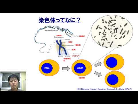マンモスの最初の染色体