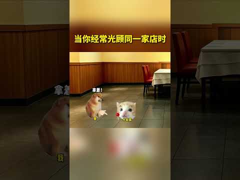老板：坏了，被偷家了🙀 #猫meme #搞笑 #万万没想到 #反转