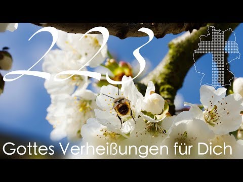 Gottes Verheißungen für Dich - 1.Korinther 15,22 | Videokalender 223/365 - Deutschland braucht JESUS