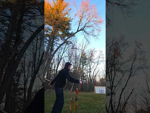 50# Short Turkish and 59# Scythian Grozer biocomposite #archery #turkishbow #khatra