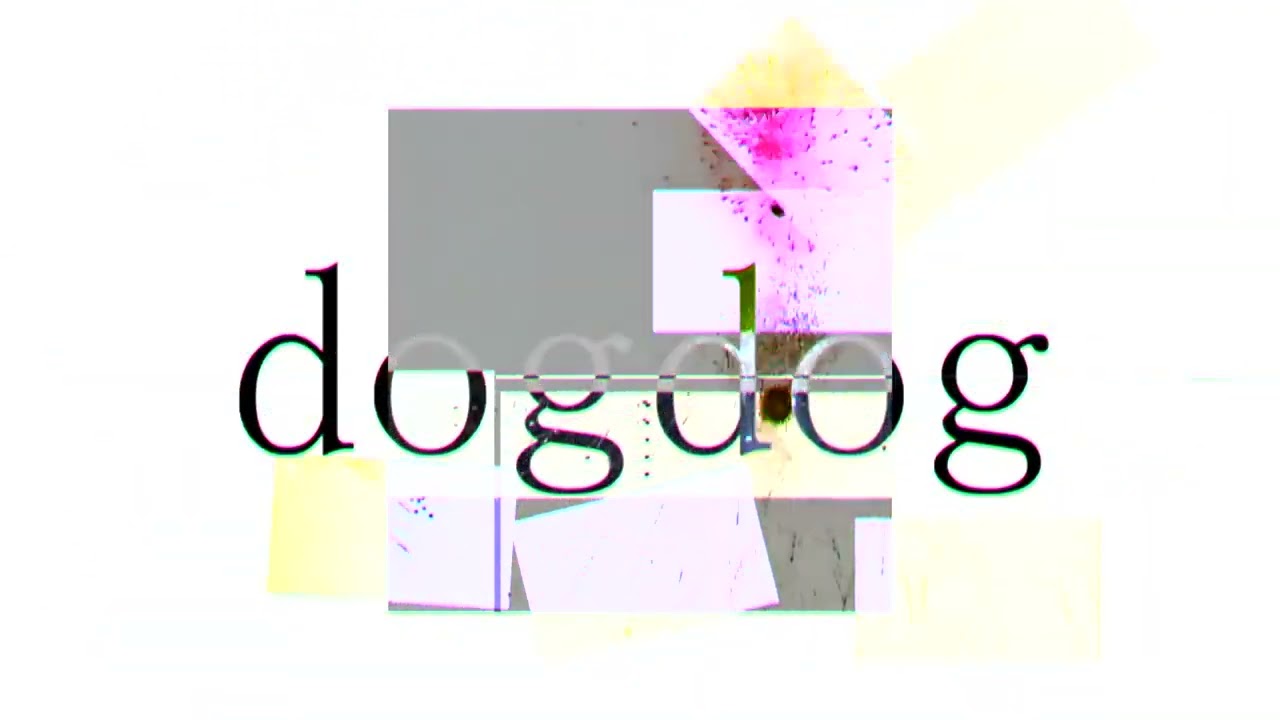 dogdog