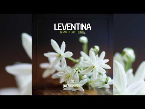 Leventina - Shake That Thing