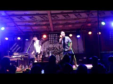 Elektryczny Węgorz - Żelebsko Ultra Chaos Piknik vol.14 23.06.23.