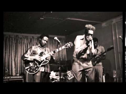 Big Walter Horton ~ ''Tin Pan Alley''(Harmonica Electric Chicago Blues 1977)