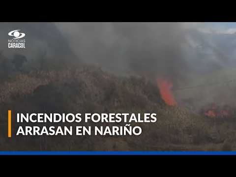 Incendios en Nariño: 38 municipios afectados y más de 3.000 hectáreas devastadas por el fuego