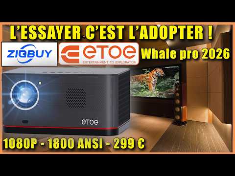 ETOE Whale Pro 2026 ZIGBUY - La BONNE SURPRISE !