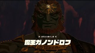 ３０　実況　地底でガノンと最後の戦い　ゼルダの伝説 ティアーズ オブ ザ キングダム