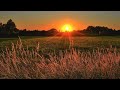 Nature Video 30 Seconds WhatsApp Status Video Nature Background Videos