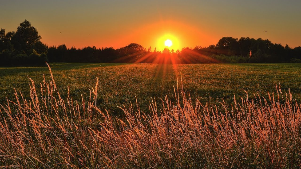 Nature Video 30 Seconds|WhatsApp Status Video|Nature Background Videos