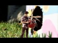Music Video -- Clever Disguise Factory