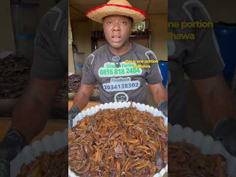 How this catfish grew to almost 8kg without fish feed.