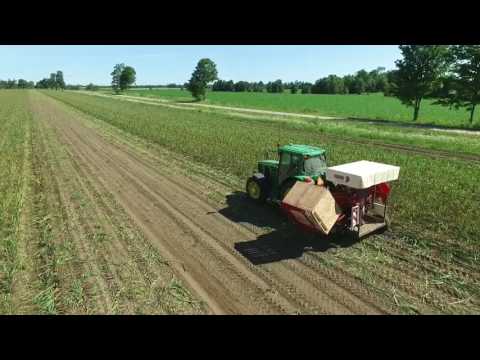 download lagu mp3 mp4 Garlic Machinery Australia, download lagu Garlic Machinery Australia gratis, unduh video klip Garlic Machinery Australia