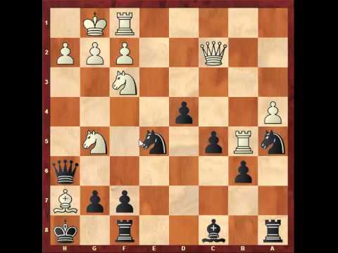 Chess: Alexander Goldin 2555 - Susan Polgar 2560, Queen's Gambit Accepted http://sunday.b1u.org ✔️