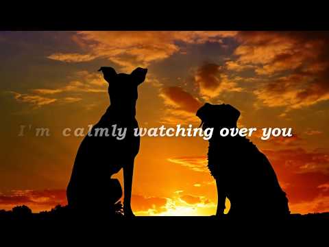 A message from the rainbow bridge