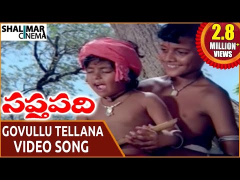 Saptapadi Movie || Govullu Tellana Video Song || Somayajulu, Ravikanth, Sabita || Shalimarcinema
